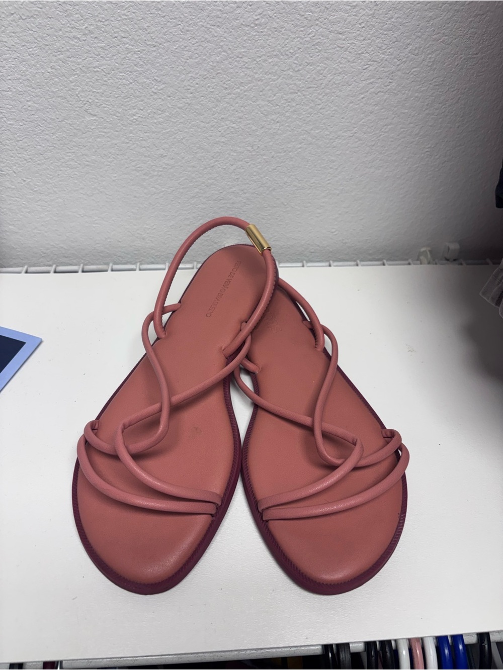 Havaianas Strappy Slide Sandals in Dusty Rose with Gold Accent
